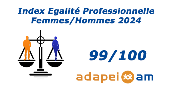 Index egalit 2024 site