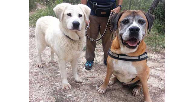 A-votre-bon-coeur-2018-1