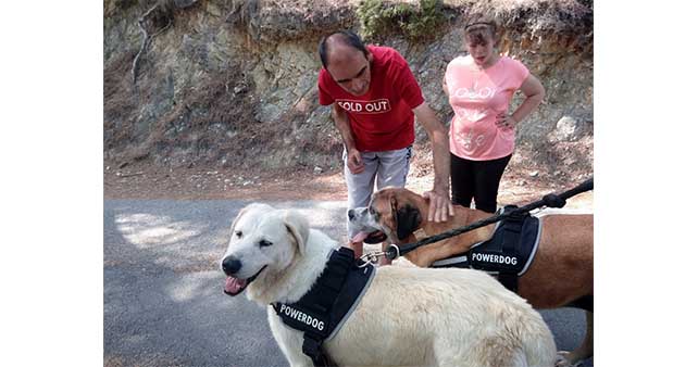 A-votre-bon-coeur-2018-3