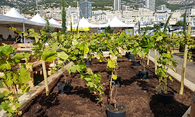 Route-du-goute-2018_04