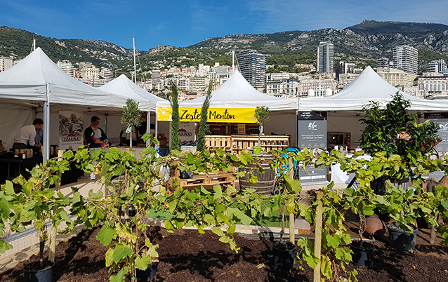 Route-du-goute-2018_08