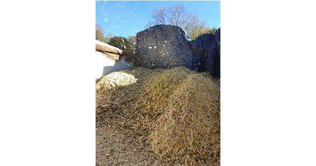 article_recyclage_espaces_verts_TOA_02