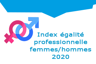 Index égalité professionnelle Femmes/Hommes 2020